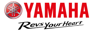 Logo grupo concesionaria