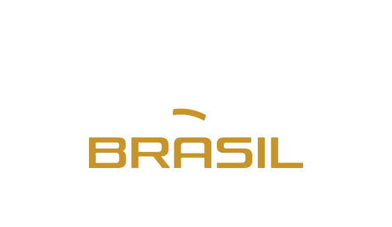 Logo grupo concesionaria