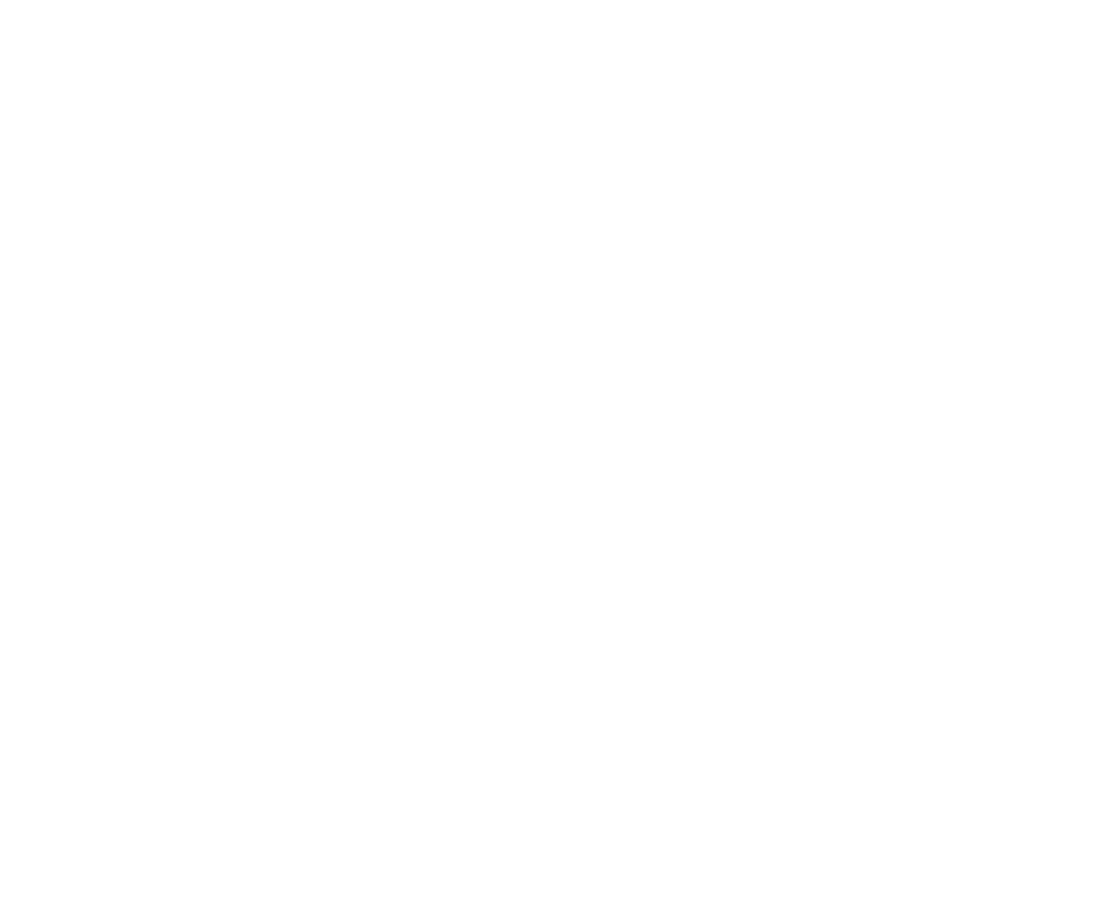 Logo Rodapé Nissan