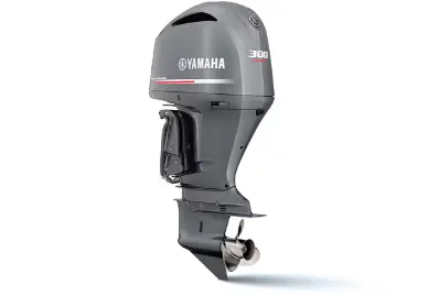 thumb 300HP - 4T