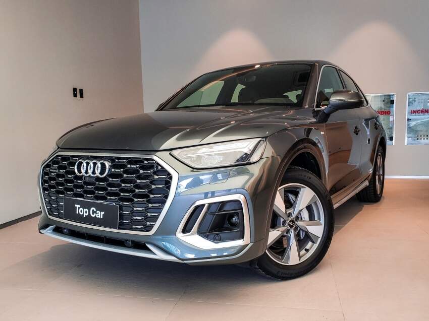 2.0 55 TFSIE PHEV PERFORMANCE QUATTRO S TRONIC