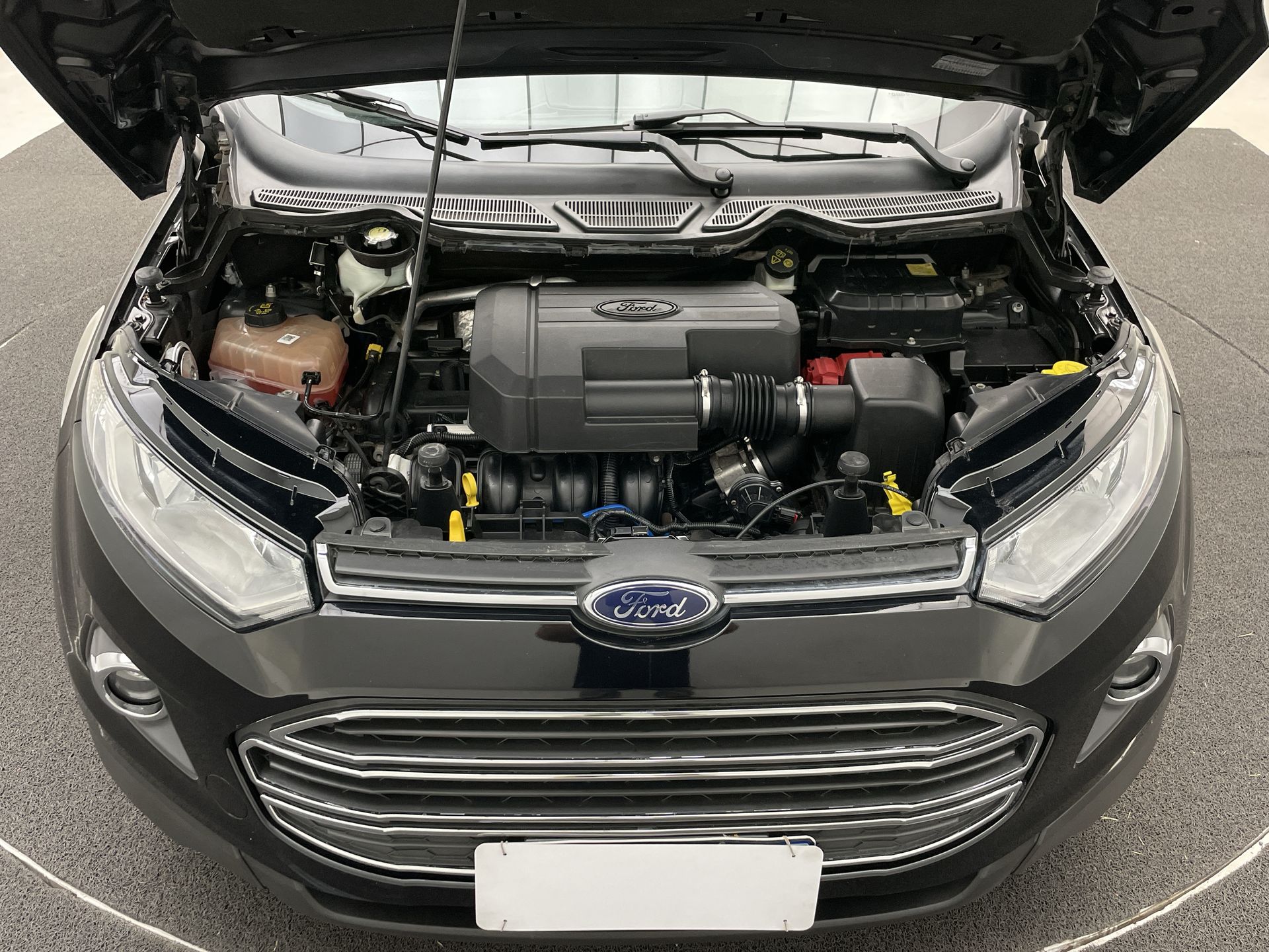 Ford-ECOSPORT-EcoSport TITANIUM 2.0 16V Flex 5p Aut.