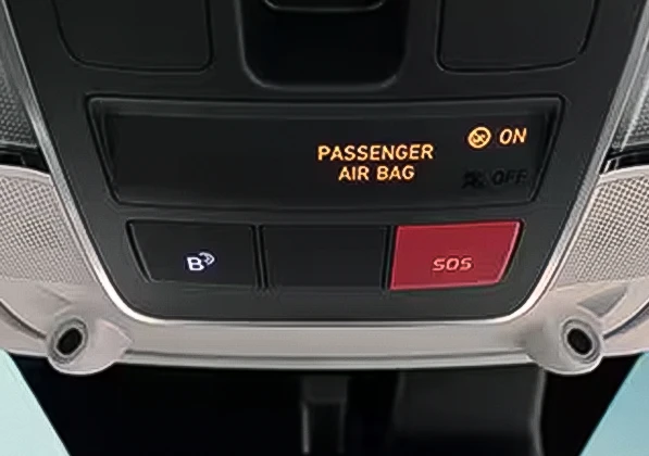 Hyundai Bluelink