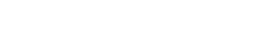 Aion V
