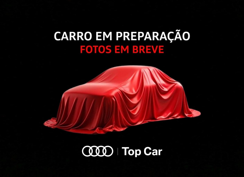 2.0 55 TFSIE PHEV PERFORMANCE QUATTRO S TRONIC