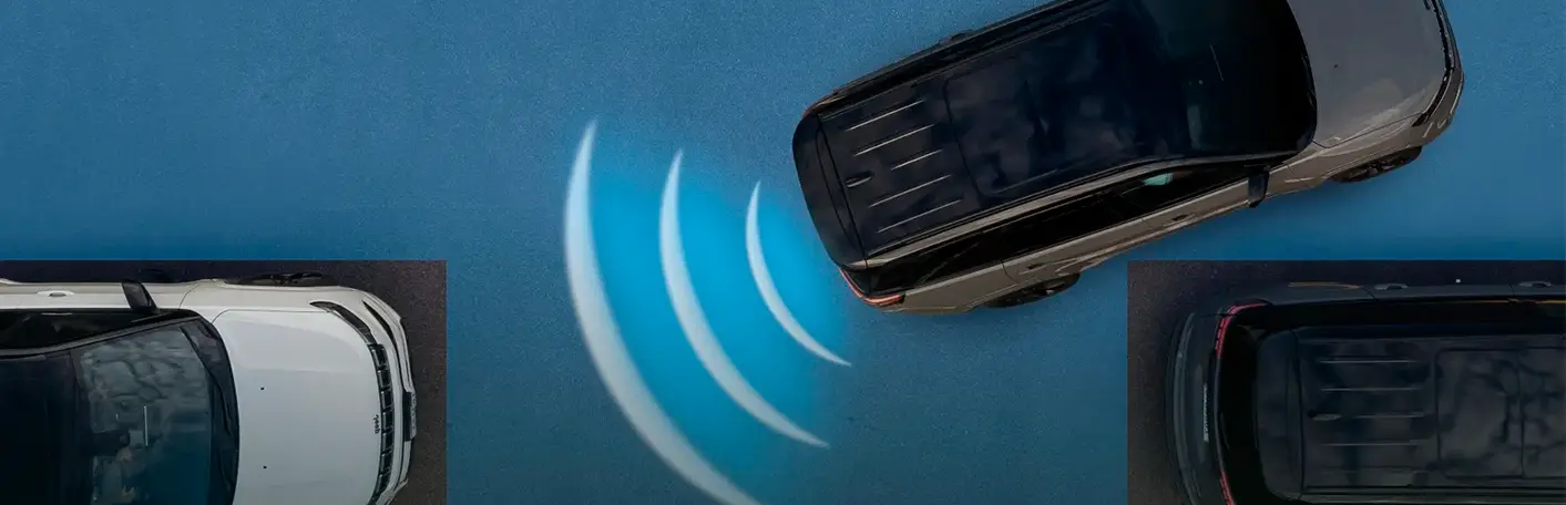 Park Assist