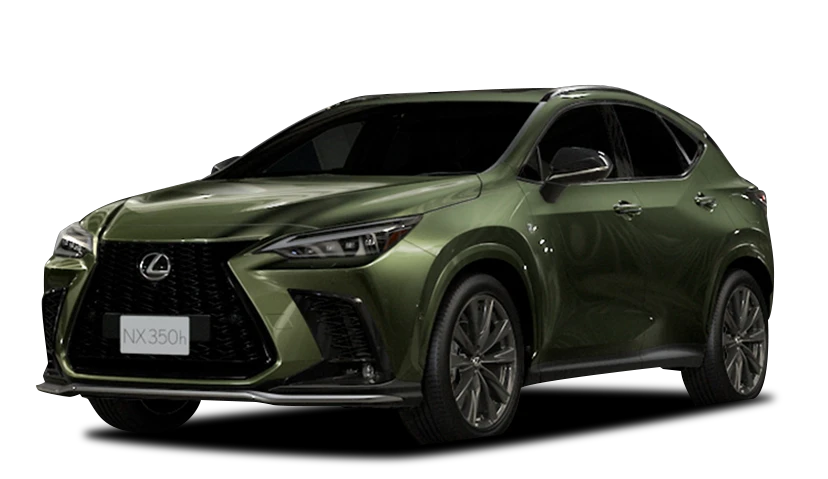 Verde Musgo