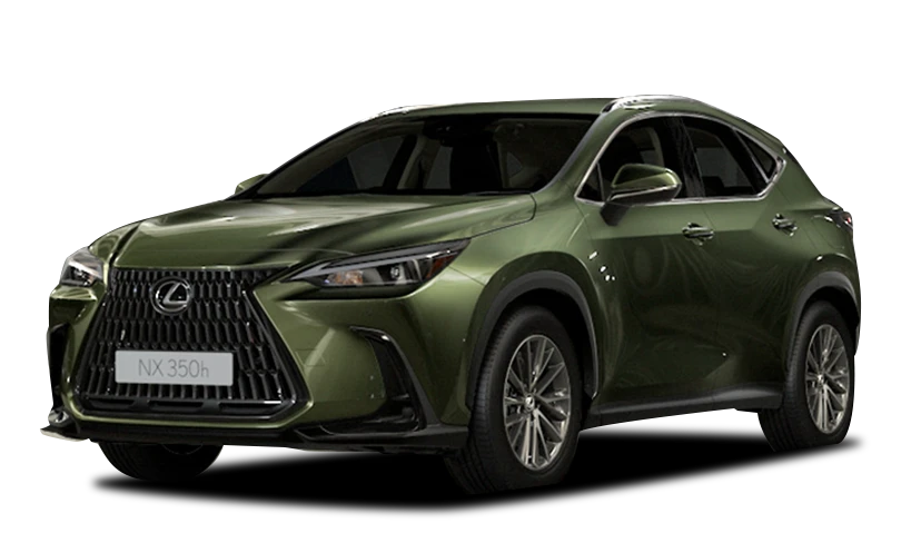 Verde Musgo