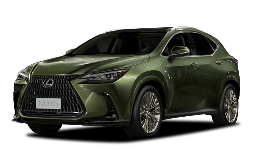 Verde Musgo