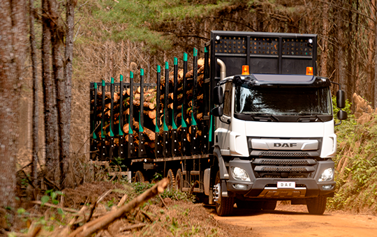 DAF CF Vocacional