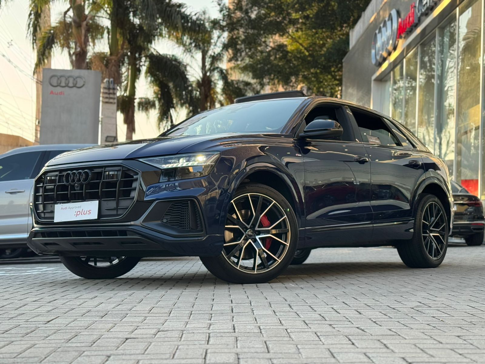 Q8 Perf.Black 3.0 TFSI Quattro S-tronic