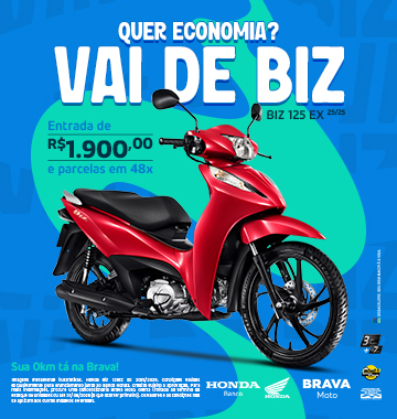 BRAVA - Finan Biz - AGOSTO