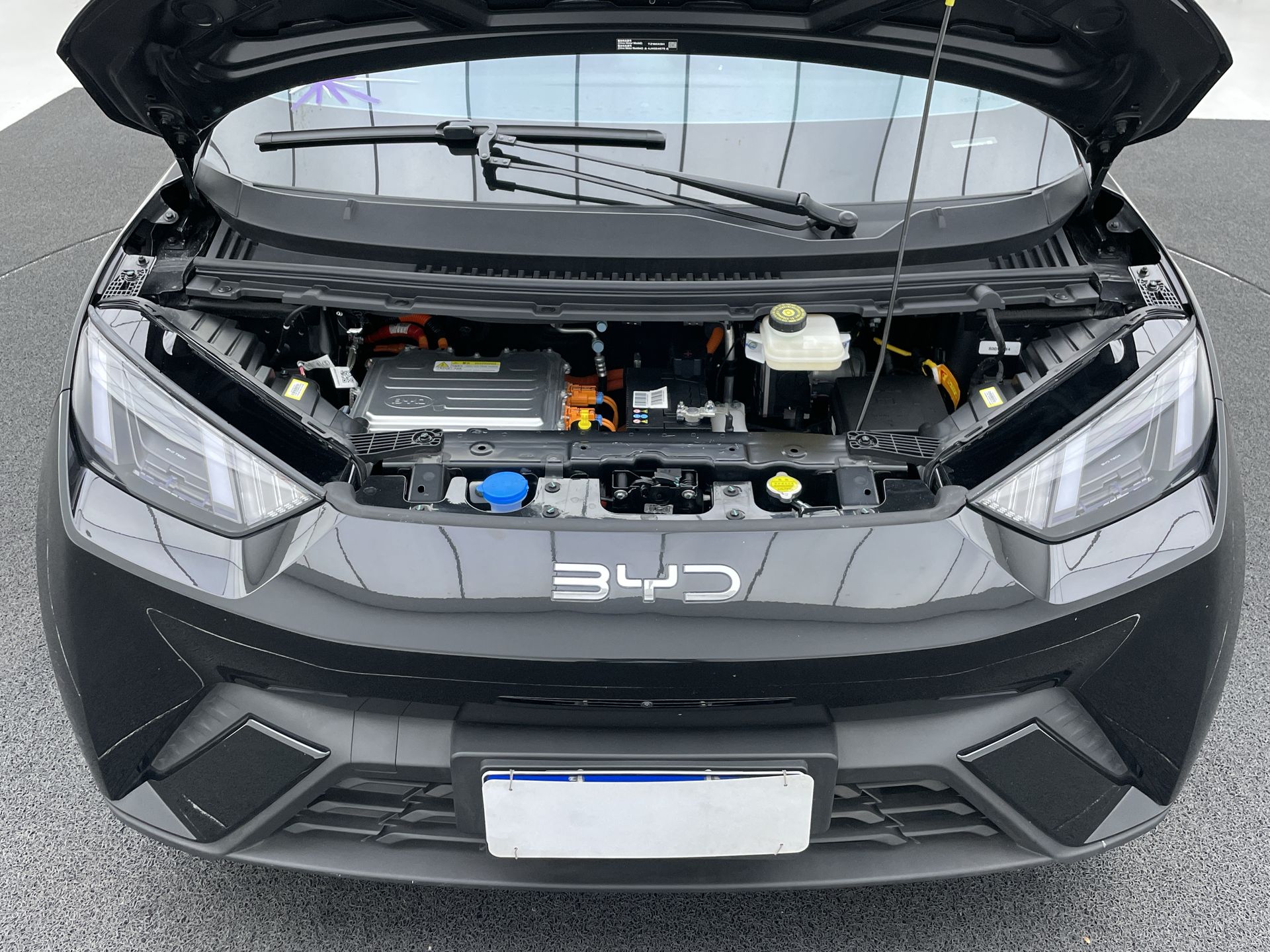 BYD-Dolphin-Dolphin Mini (Elétrico)