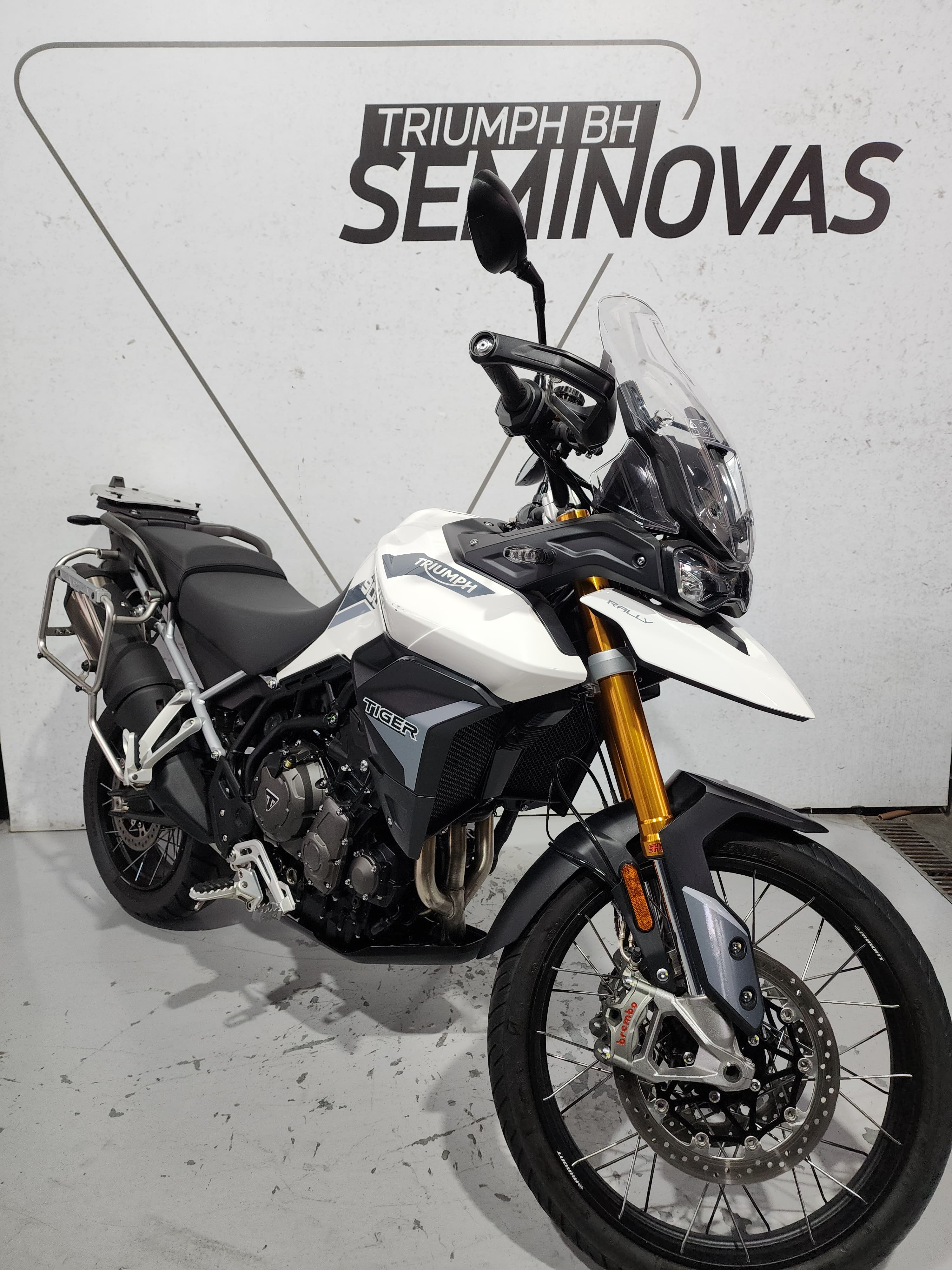 TRIUMPH-TIGER-TIGER 900 RALLY