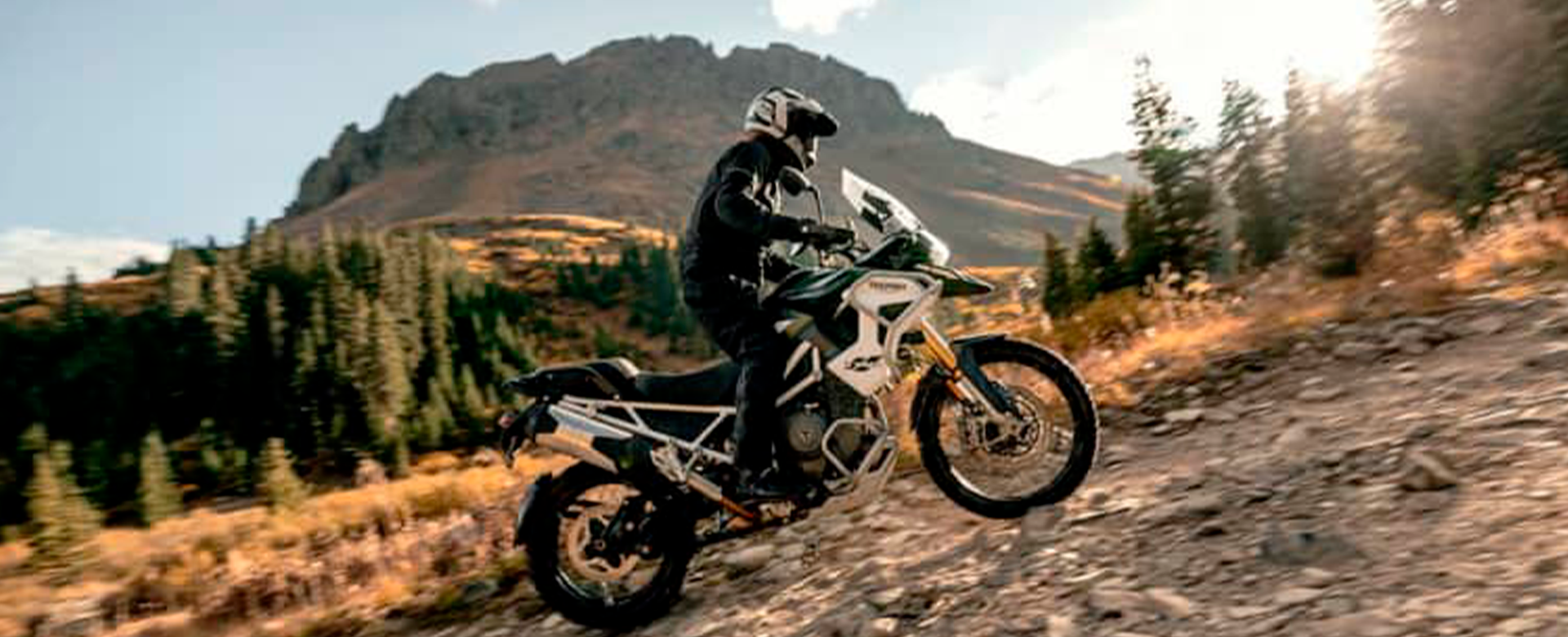 Tiger 1200 RALLY Pro
