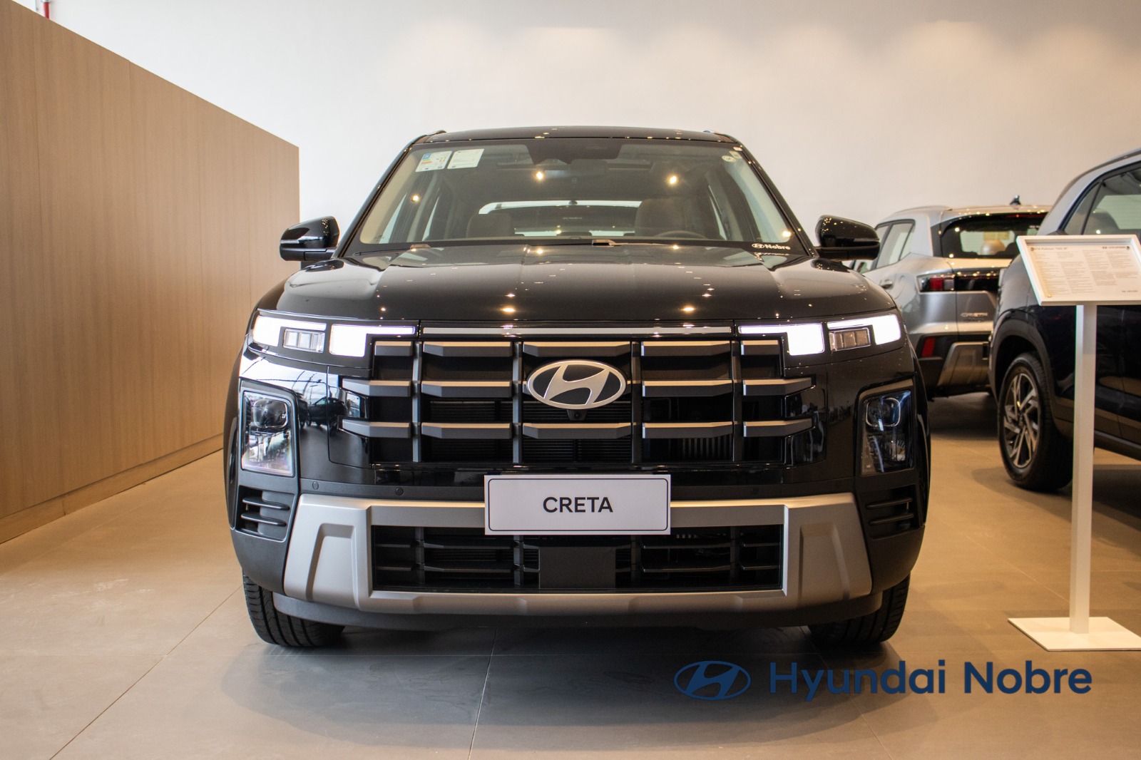 Creta Platinum 1.0 TB 12V Flex Aut.