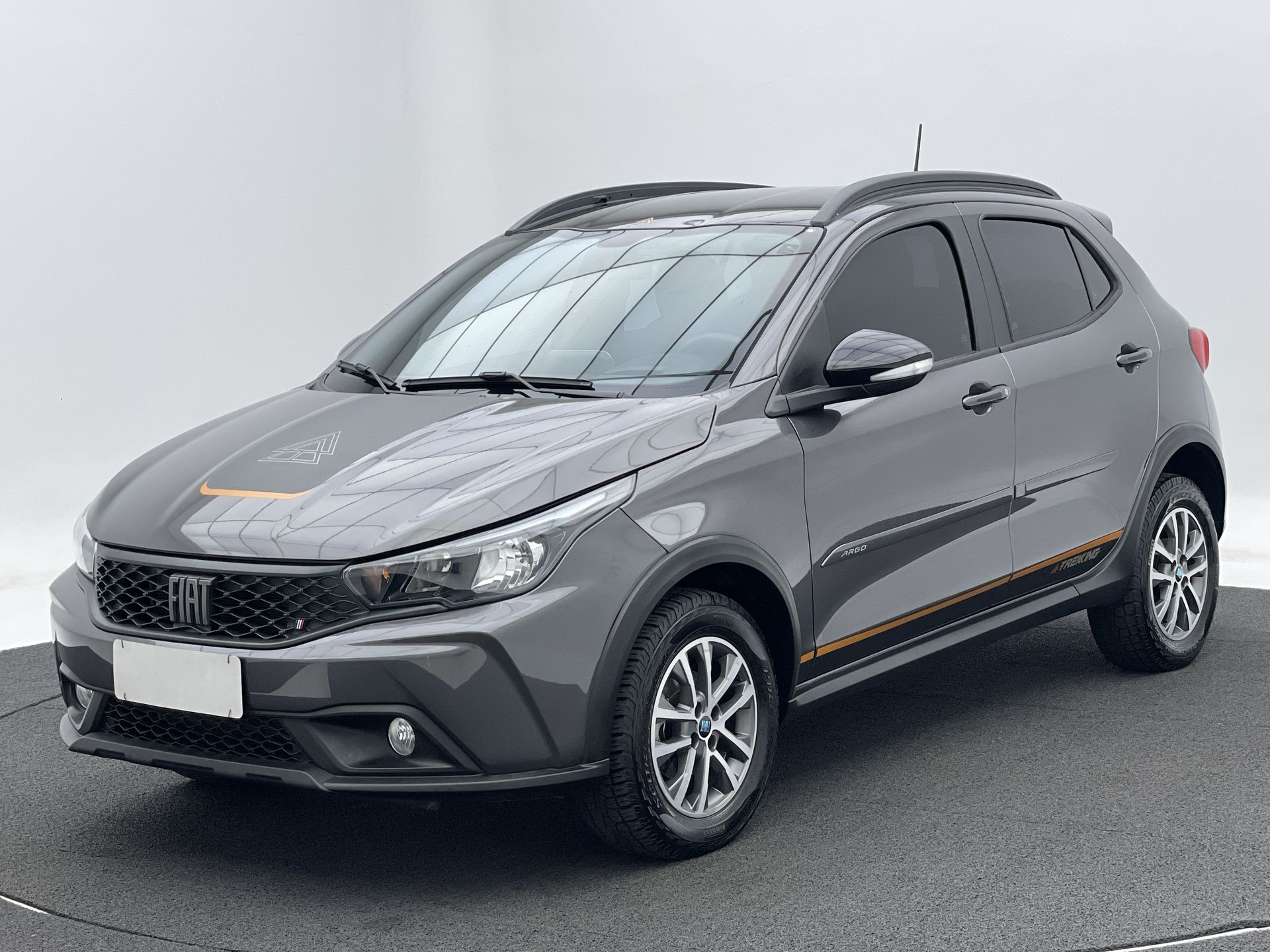 ARGO TREKKING 1.3 8V Flex
