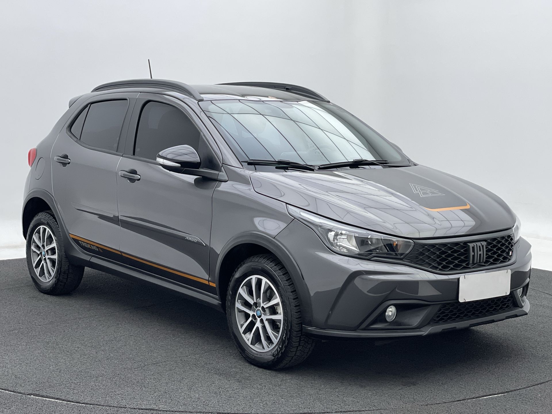 ARGO TREKKING 1.3 8V Flex