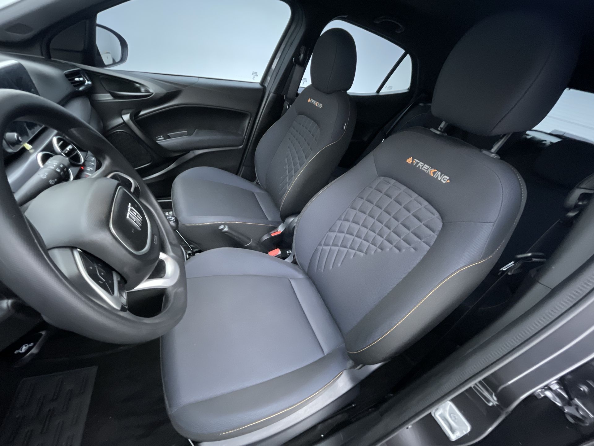 ARGO TREKKING 1.3 8V Flex