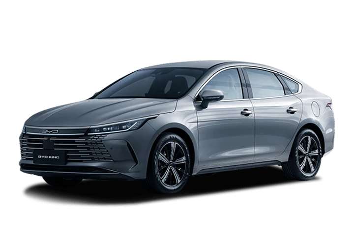BYD KING GS