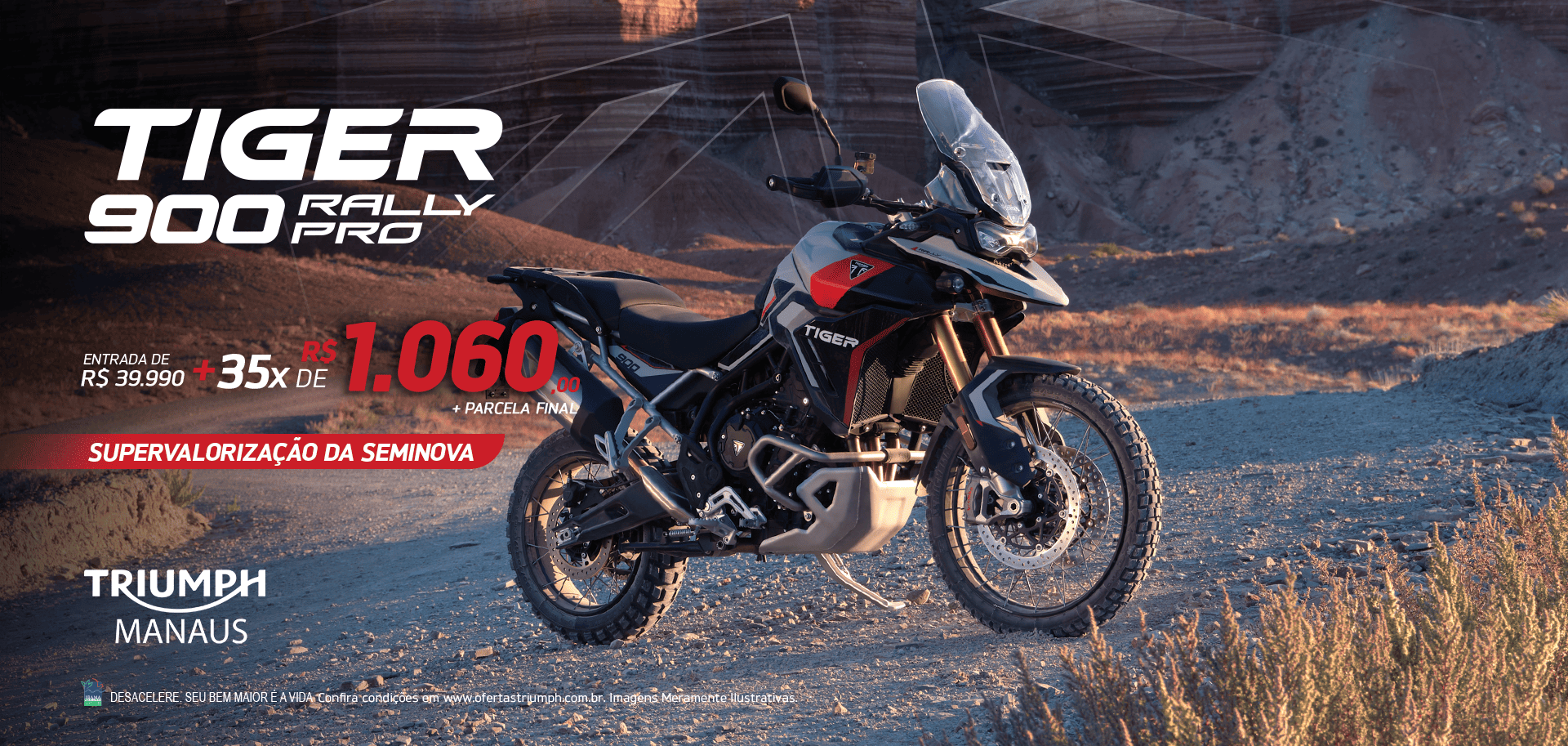 Tiger 900 Rally Pro