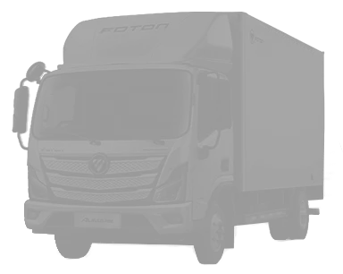 Placeholder de veículo ao lado do form