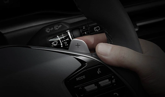 Shift-paddles
