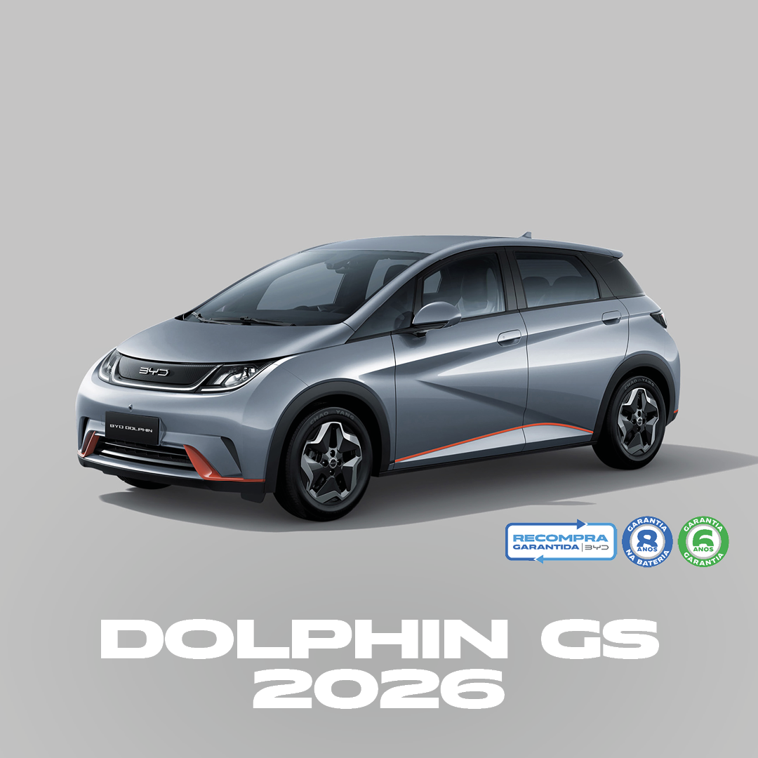 Dolphin Gs 2026