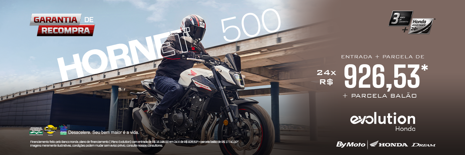 banner HORNET 500
