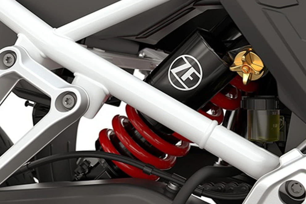 Suspensão traseira ZF/ SACHS