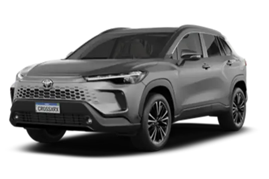 XRX Cinza Granito