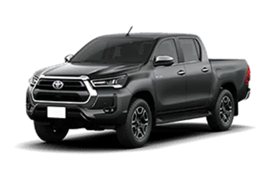 SRV Cinza Granito