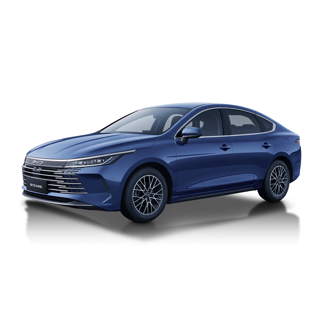 BYD KING GL 2026