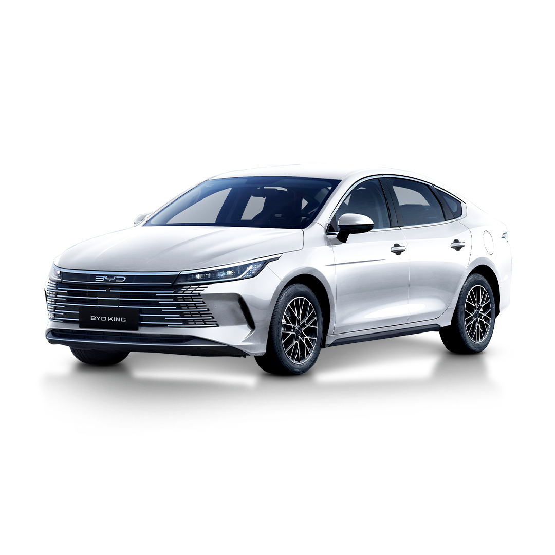 Novo King GS 2026