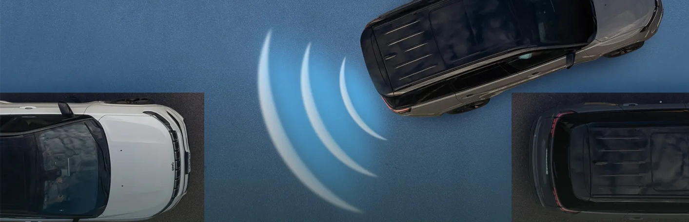 Park Assist