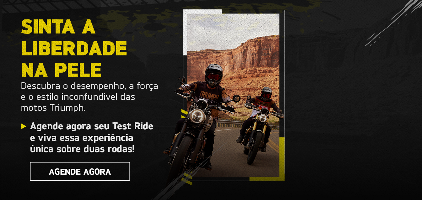 Tiger 900 Rally Pro