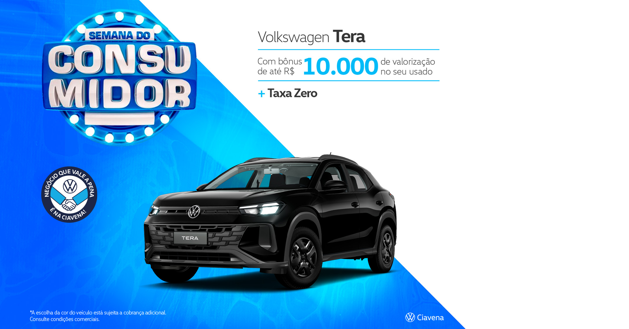 banner tera
