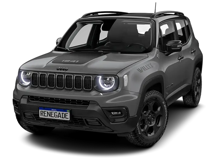 1.3 Turbo STING GRAY BICOLOR