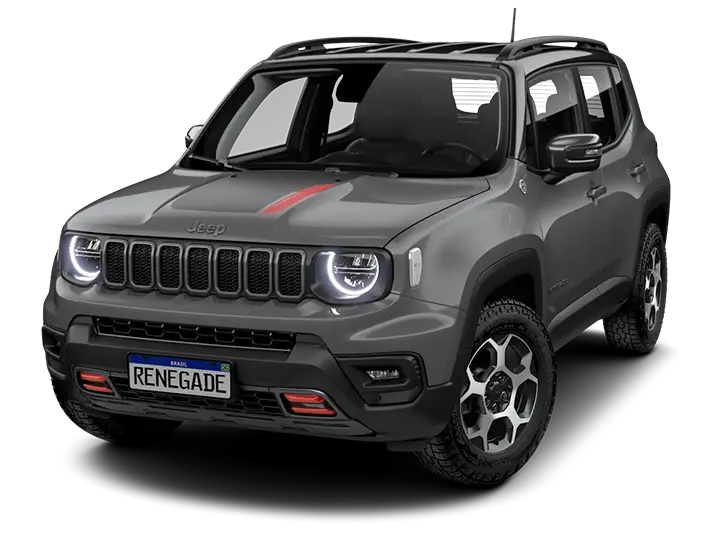 1.3 Turbo STING GRAY BICOLOR