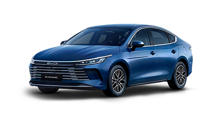 BYD King GS - 2025/2026