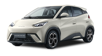 BYD DOLPHIN MINI 2025/2026