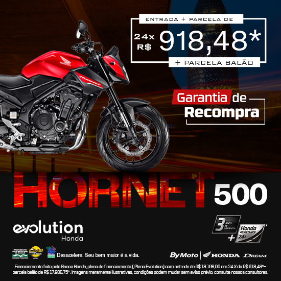 banner HORNET 500