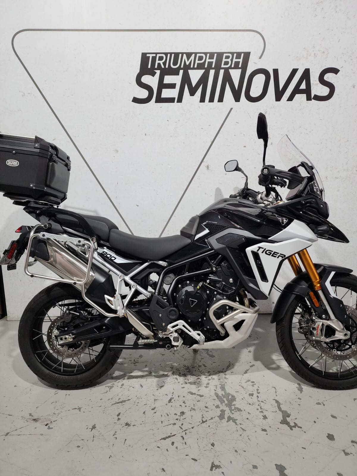 TIGER 900 RALLY PRO