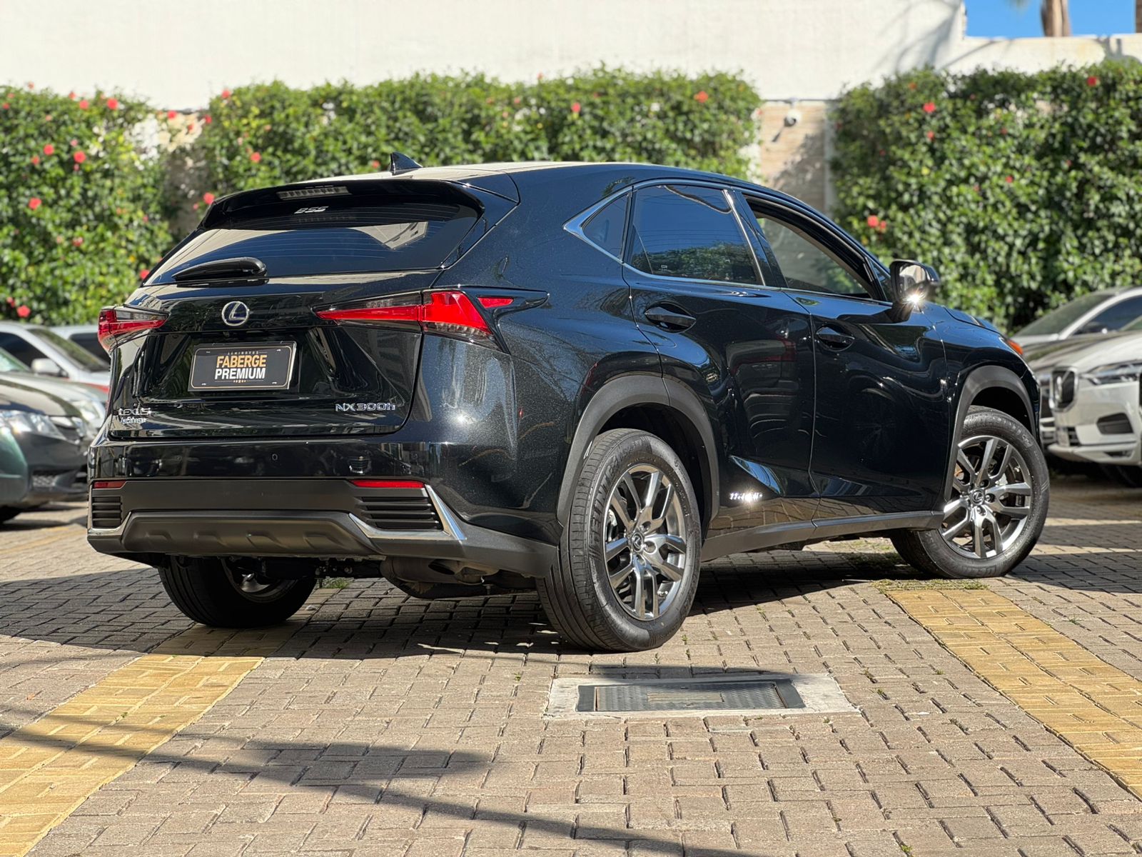 Lexus-NX-NX-300h Dynamic 2.5 16V Aut.(Hybrid)