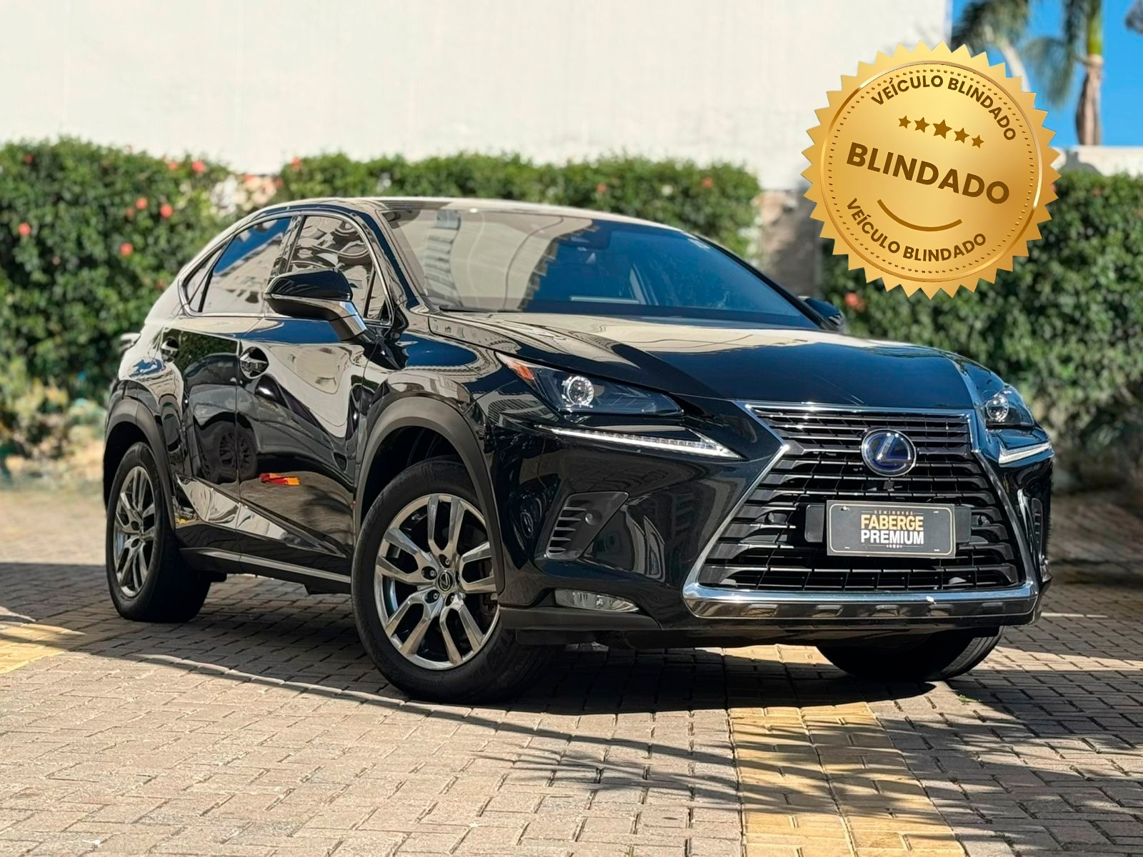 Lexus-NX-NX-300h Dynamic 2.5 16V Aut.(Hybrid)