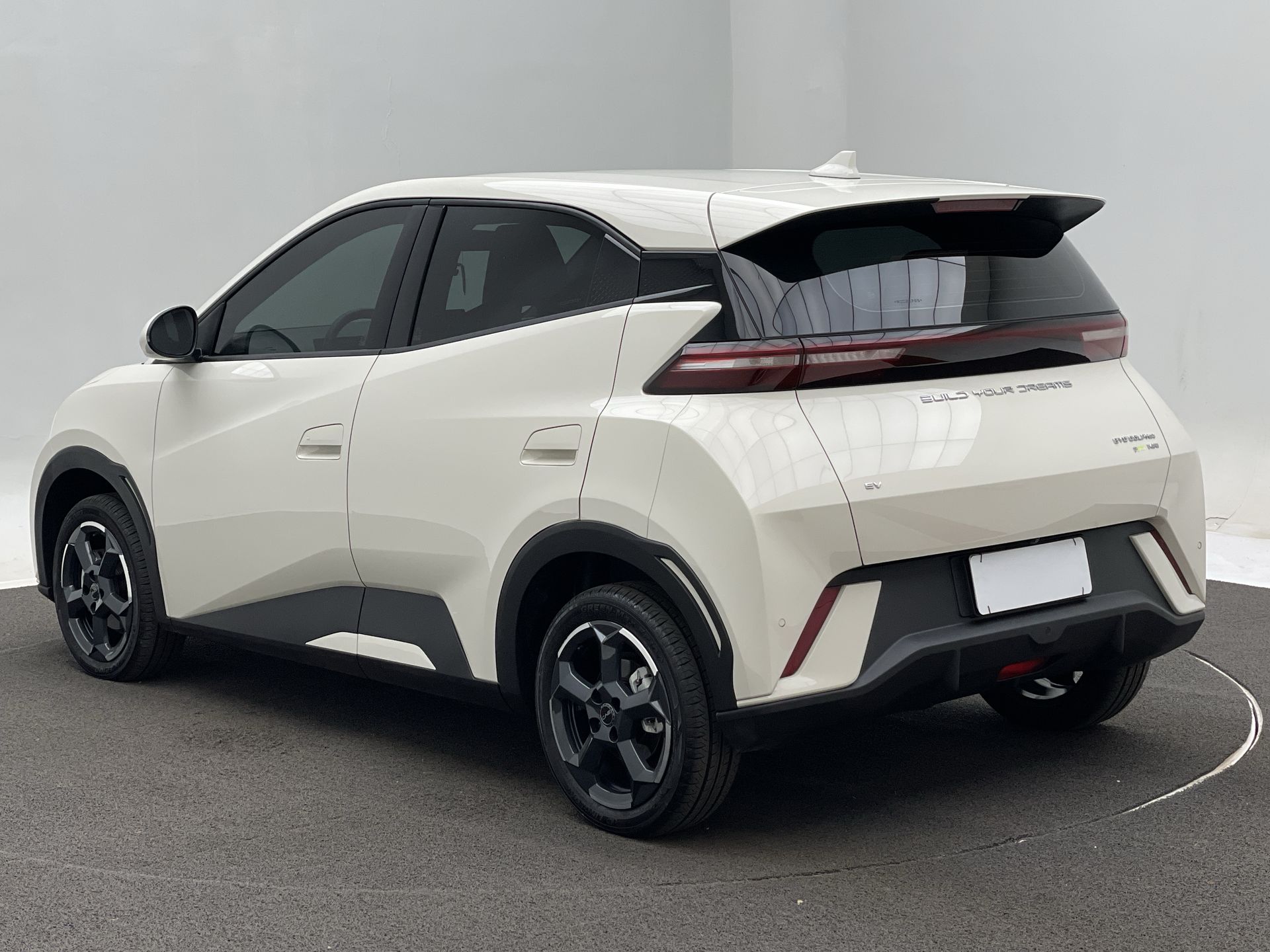 Dolphin Mini (Elétrico)