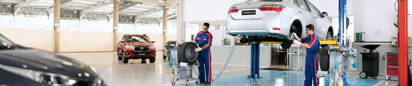 Assistência técnica